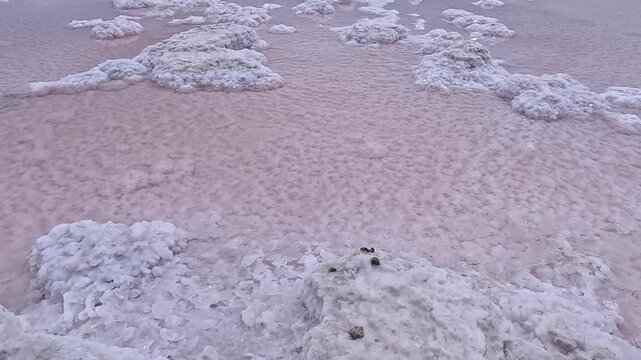 Kuyalnik Estuary, self-precipitating table salt. Sodium chloride at the bottom of a dried-up estuary in the summer