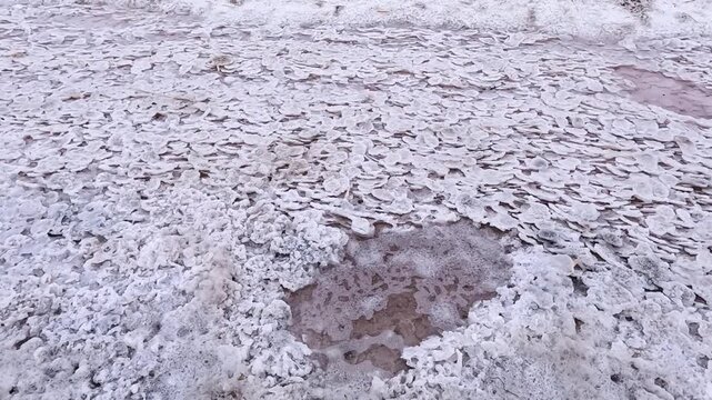 Self-precipitating table salt Sodium chloride at the bottom of a dried-up estuary