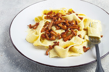 pasta papardelle, in creamy garlic sauce, with mushrooms, traditional Italian cuisine, pasta carbonara, homemade, no people,