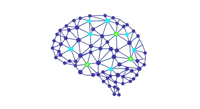 Abstract Neural Network Representation of a Human Brain.