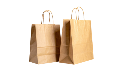 Two kraft paper shopping bags, light tan color, with simple handles