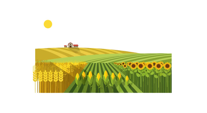 Vibrant Agricultural Landscape with Sunflower and Corn Fields Farm and Tractor.