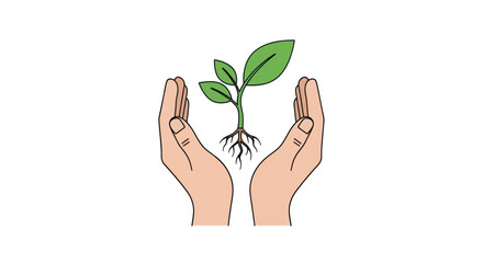 Cupped hands carefully protecting a young green plant with exposed roots.