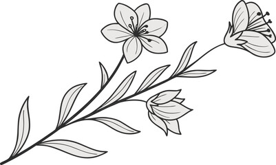 black and white flowers