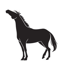Fototapeta premium Silhouette of a powerful horse rearing up with its head back