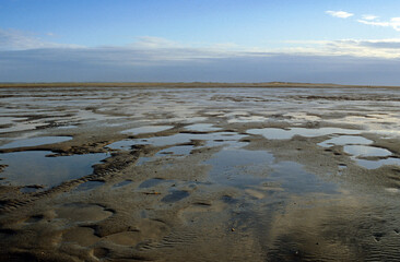 Baie de Somme, 80, Somme, France