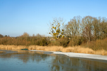 hiver, Étang de Saint Hubert, étangs de Hollande, Parc naturel régional de la Haute Vallée de Chevreuse, Bréviaires, 78, Yvelines, France