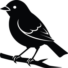 vector illustration of a bird