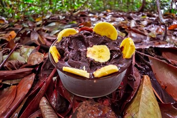 The most authentic Brazilian açaí, Euterpe oleracea, with banana in a minimalist bowl and compatible environment. Superfood energy and vitamins