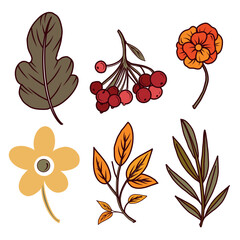 A set of vector illustrations. Autumn leaves, berries, twigs, flowers, everything is hand-drawn in vector. Illustration is suitable for printing on product packaging, textiles, product design. 