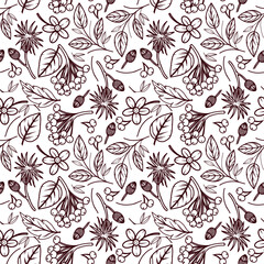 Seamless vector pattern. Leaves, berries, twigs and plants of the forest, all hand-drawn in vector. The illustration is suitable for printing on fabric, paper, textiles, design. Vector illustration.