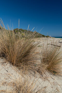 Naturstrand auf Korsika