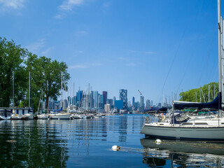 Toronto Islands marina with Toronto city skyline in background, Canada