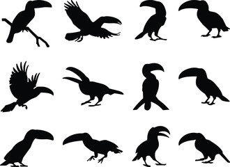 Toucan silhouette collection, tropical bird shapes, exotic wildlife vector, black toucan icons, flying toucan, perched toucan, jungle illustration set