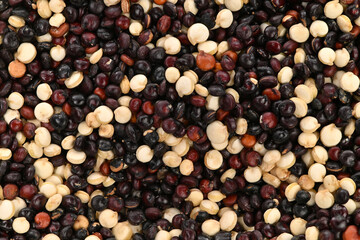 A close up of a variety of different colored quinoa seeds
