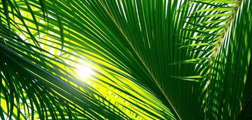 Fototapeta premium Lush green palm fronds, vibrant sunlight illuminating details, summer, bright