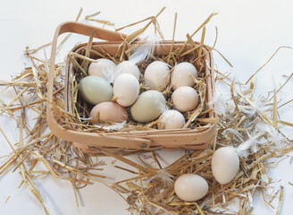 Wooden Basket with Small Bantam Eggs in Straw 