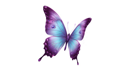Purple butterfly on white background — vivid wings close-up stock photo