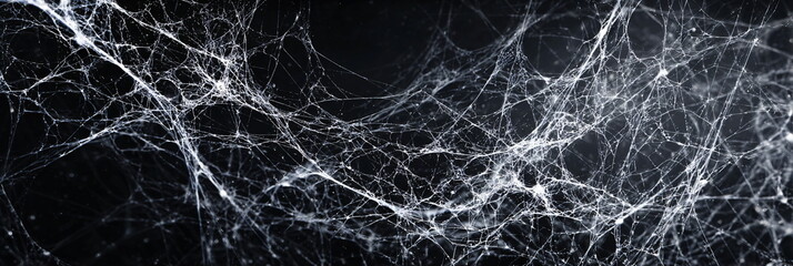 spider web on dark grunge background, detailed silk threads and creepy Halloween atmosphere