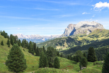 Trees ripple across the land, leading the eye to the Dolomites’ rocky heights