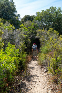 Weg in der Macchia