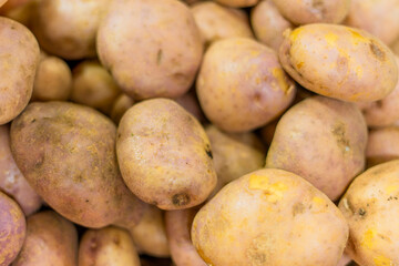 Solanum tuberosum - Organic potato in the Colombian traditional market