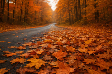 Rua cheia de folhas e árvores na estação do ano outono. 