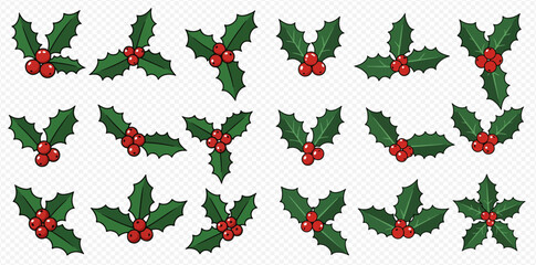 A collection of various holly sprigs with green leaves and red berries, perfect for Christmas and winter holiday designs on a transparent background.