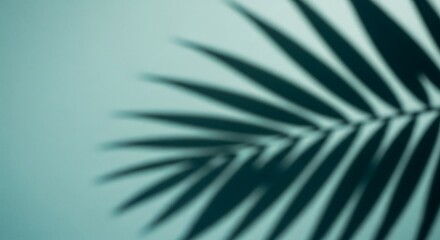 Obraz premium Abstract shadow of a tropical palm leaf on a teal background.