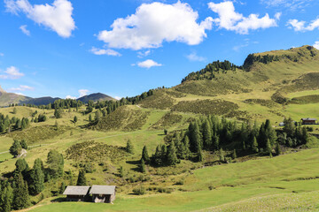 Rustic huts in Alpe di Siusi with mountain giants looming behind