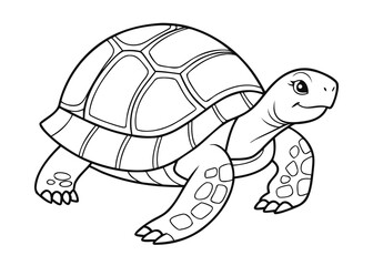 turtle vector illustration