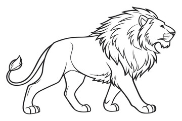 lion vector illustration