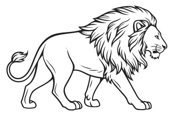 lion vector illustration
