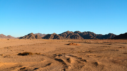 Panoramic view of the Sinai Mountains in Egypt at sunrise.