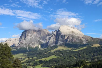 Fototapeten Alpen Verdant meadows of Alpe di Siusi bask in September sun, with Sassolungo towering in the distance.  © Catalin