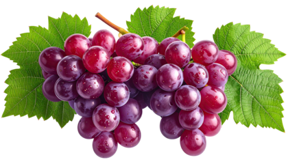 Close-up of a bunch of vibrant red grapes, with lush green leaves attached