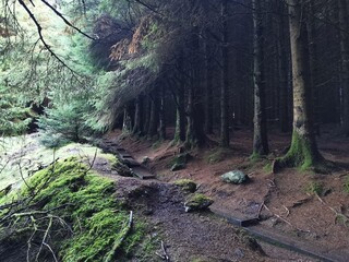 Wicklow mountains in Ireland on a partially sunny day, around Lough Tay, Lower Bray lake and Eagle's craig, with open wildernes and great view