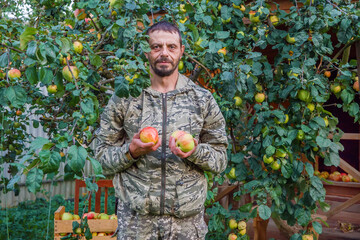 Russia. The life of ordinary people. A European man picks apples from an apple tree.