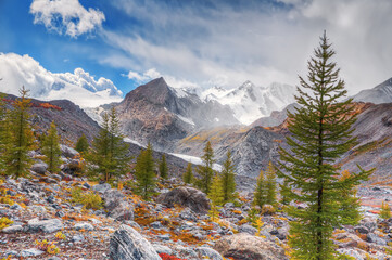 Russia. Altai Mountains. View of the Sofia Glacier and the Akkol Valley.