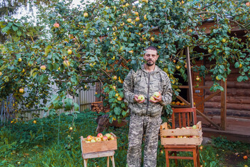 Russia. The life of ordinary people. A European man picks apples from an apple tree.