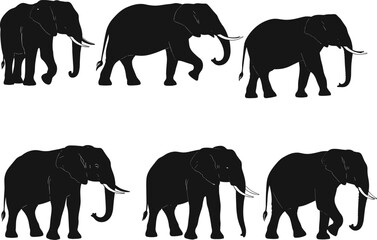 Elephant walking silhouette set, wildlife motion study, animal locomotion sequence, black vector illustration, safari mammal graphic, side profile poses, nature art