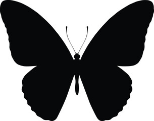 Black butterfly silhouette with detailed wings isolated on white background