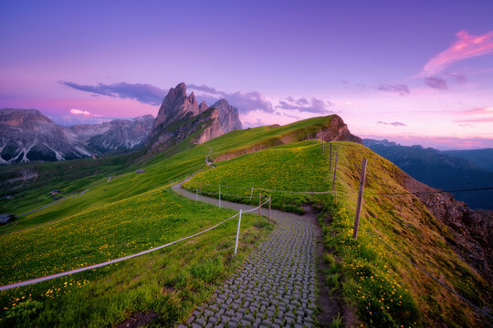 Hiking path on Seceda mountain range with yellow flowers blooming in the foreground at sunset in summer in Dolomites, Italy. Landscape with green alpine meadows, rocks, trail, purple sky at twilight - Powered by Adobe