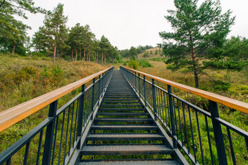 tourist trail in the mountains. stairs in the national park. stairs to the mountain.