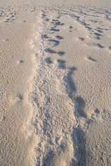 Salty soil near the lake shore. The texture of a salty crust near a salt marsh.