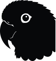 Close up profile silhouette of a parrot head isolated on white background