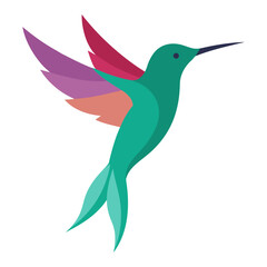 hummingbird illustration