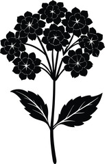 Abstract swirl nebula galactic cloud cosmic starfield design isolated on transparent background © Sweet