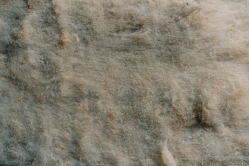 fragment of wool for felting and making products. hands