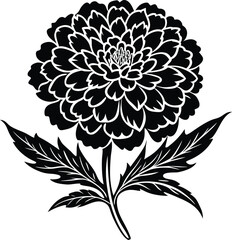 Abstract geometric pattern dynamic flow dynamic shape concept art design element isolated on transparent background